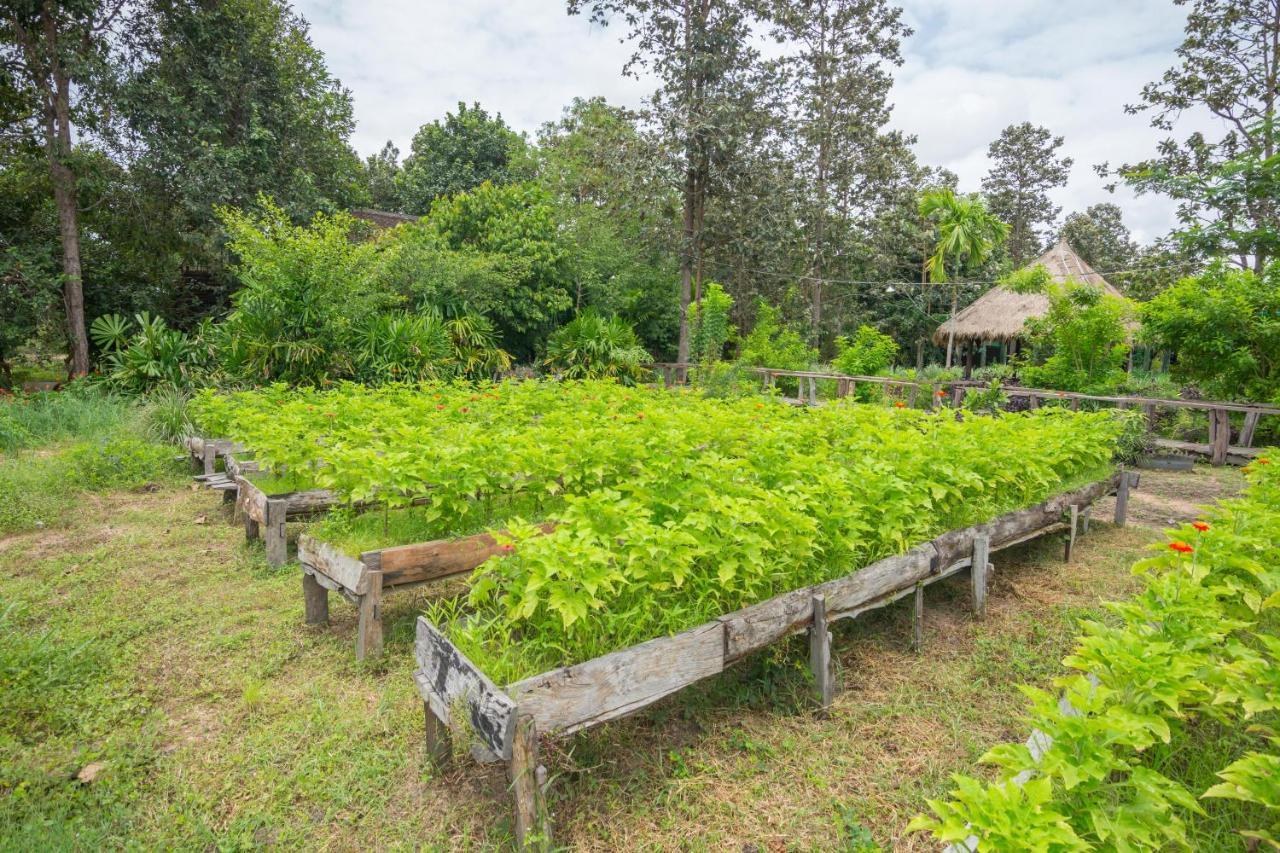 Bong Thom Forest Lodge Siem Reap Extérieur photo